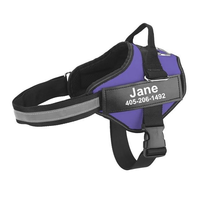 Personalized Dog Harness