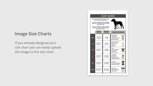 Shopify Size Chart App Custom Size Charts image size charts