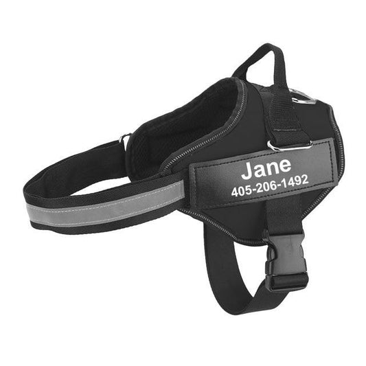 Personalized Dog Harness